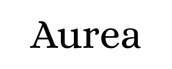 Translation missing: es.Aurea accessibility.home